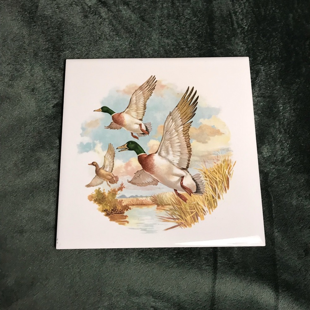 Decorative Ceramic Tiles 6"x6" Art Tiles, Hyalyn 595 USA DUCKS Cottage-core